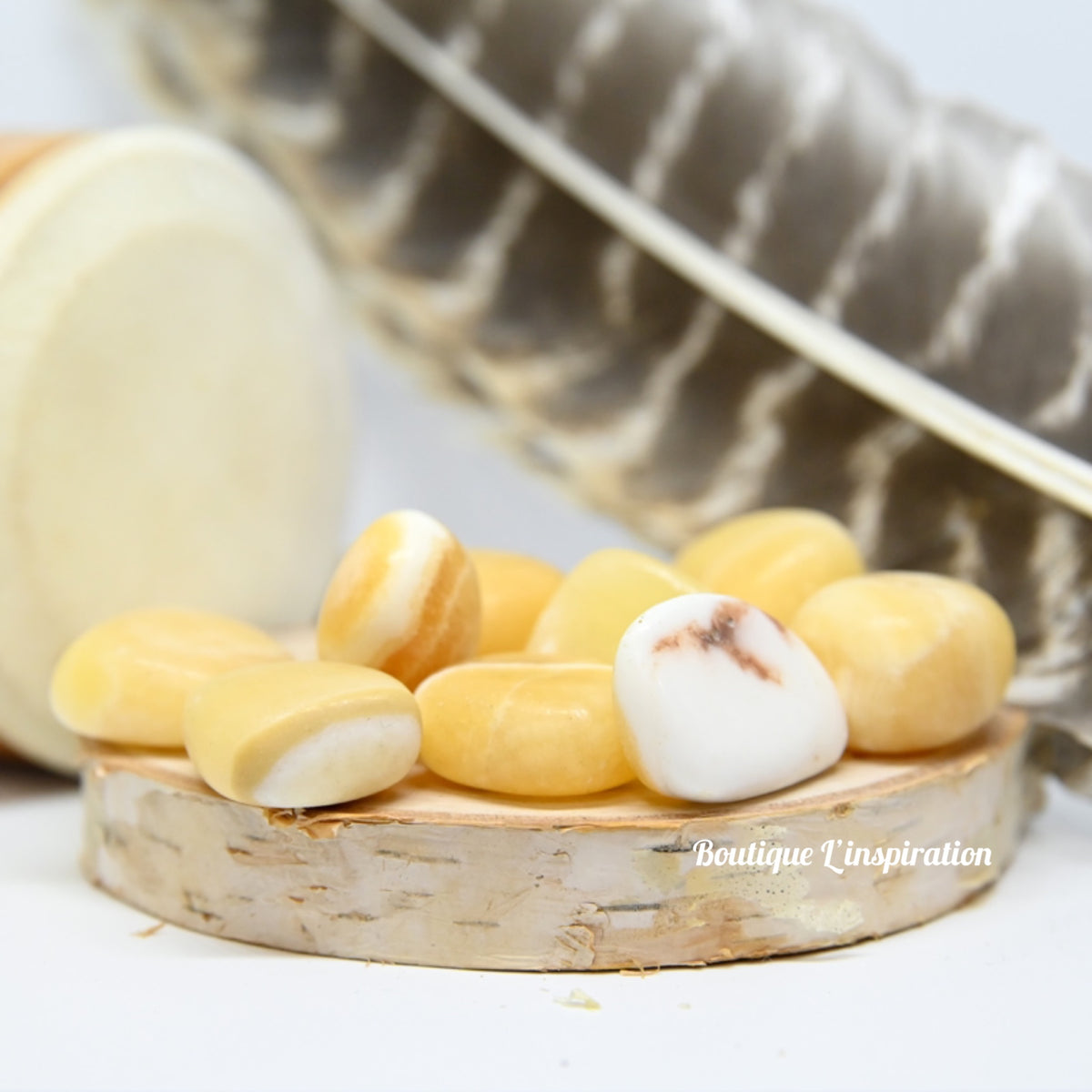 Cacite Jaune