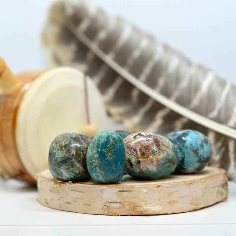 Chrysocolle