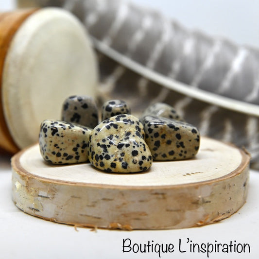 Jaspe dalmatien